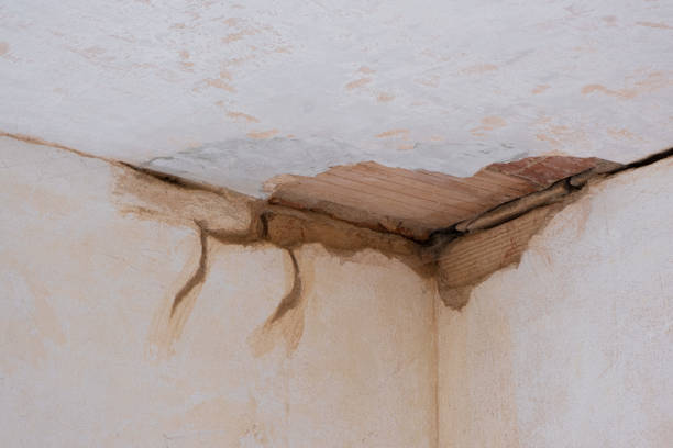 Best 24/7 water damage repair  in Weyers Cave, VA