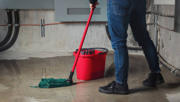 Best Commercial water damage restoration  in Weyers Cave, VA
