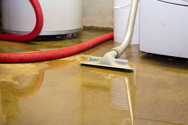 Weyers Cave, VA Water damage restoration Company