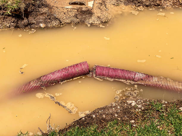 Best Carpet water damage restoration  in Weyers Cave, VA
