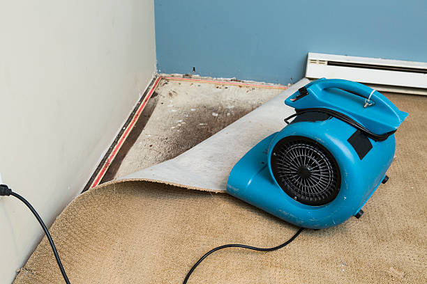 Best Residential water damage restoration  in Weyers Cave, VA